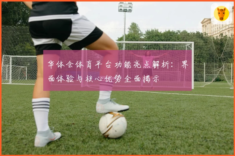 华体会体育平台功能亮点解析：界面体验与核心优势全面揭示